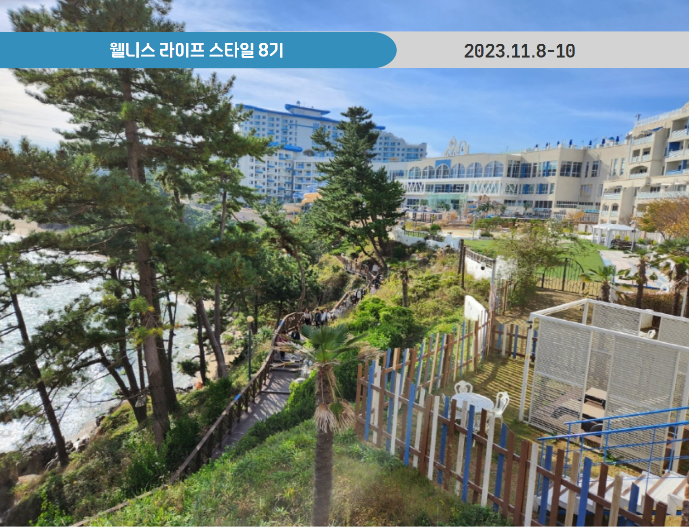 웰니스 라이프 스타일 8기